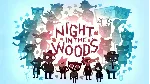 Epic Night in the Woods аккаунт+почта - irongamers.ru