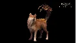 Beast of Reincarnation — цифровое издание Deluxe XBOX SERIES S|X КЛЮЧ/КОД СРАЗУ - irongamers.ru