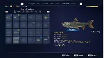 Call of the Wild The Angler Xbox — на ваш аккаунт, без входа, быстро - irongamers.ru