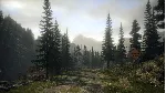 Alan Wake Franchise STEAM КЛЮЧ РФ+МИР / РУССКИЙ ЯЗЫК