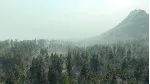 Life is Feudal: Your Own STEAM KEY GLOBAL+РОССИЯ - irongamers.ru