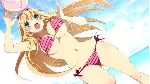 Sakura Beach 2 STEAM KEY REGION GLOBAL+РОССИЯ
