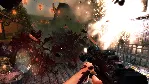 Shadow Warrior: Special Edition (Gift RU+CIS Tradable)