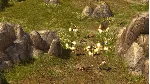 Titan Quest Anniversary Edition / STEAM KEY / RU+CIS - irongamers.ru