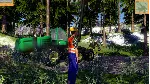 TIMBER! THE LOGGING EXPERTS STEAM KEY REGION FREE - irongamers.ru