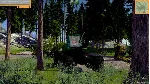 TIMBER! THE LOGGING EXPERTS STEAM KEY REGION FREE - irongamers.ru