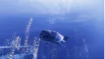 Depth (steam gift/ru+cis) - irongamers.ru