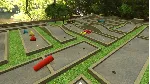 Tabletop Simulator (steam gift/ru+cis)