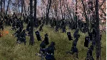 Total War: SHOGUN 2 STEAM KEY РФ+СНГ СТИМ КЛЮЧ ЛИЦЕНЗИЯ