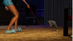 The Sims 3 - Pets / Питомцы (DLC)🔑 EA APP КЛЮЧ 🔥 РФ+МИР