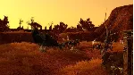 SpellForce 2 - Anniversary Edition STEAM KEY ЛИЦЕНЗИЯ