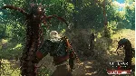 The Witcher 3: Wild Hunt Game of the Year Edition🔑 GOG