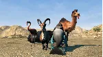 Goat Simulator: PAYDAY (DLC) STEAM КЛЮЧ / РФ + МИР - irongamers.ru