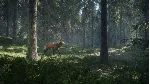 theHunter: Call of the Wild * RU/KZ/СНГ/TR/AR * STEAM - irongamers.ru