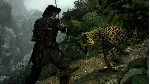 Vendetta - Curse of Raven's Cry (Steam Key/Region Free)