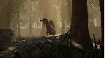 The Isle * RU/KZ/СНГ/TR/AR * STEAM АВТОДОСТАВКА - irongamers.ru