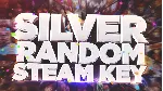 Random SILVER Steam Key