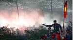 Total War: SHOGUN 2 Dragon War Battle Pack (DLC) STEAM - irongamers.ru