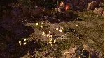 Titan Quest Anniversary Edition (steam cd-key RU,CIS) - irongamers.ru