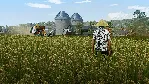 Pure Farming 2018 (steam key) - irongamers.ru
