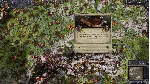 Crusader Kings II The Reaper's Due Collection STEAM KEY