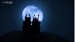 Planet Coaster (Steam Ключ / РОССИЯ + СНГ)