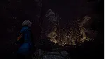 Through the Woods (Steam ключ / РФ+Весь Мир)