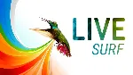 10000 посещений из системы LiveSurf + БОНУС