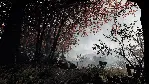Warhammer: Vermintide 2 Collector's Edition🔑 STEAM КЛЮЧ