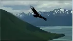 Медитативное упражнение "Моя вершина". - irongamers.ru