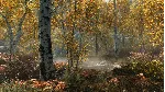 The Elder Scrolls V: Skyrim Special Edition XBOX ONE SERIES X|S Ключ - irongamers.ru