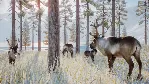 Planet Zoo: Arctic Pack * RU/KZ/СНГ/TR/AR * DLC * STEAM