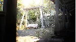 Resident Evil 7 biohazard  Xbox one