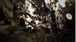 Resident Evil 7 biohazard  Xbox one
