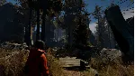 Through the Woods (Steam Key/Region Free)