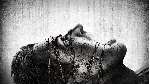 5 игр второй профиль XBOX 360 - irongamers.ru