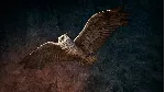 Far Cry Primal Apex Edition XBOX ONE/Xbox Series X|S - irongamers.ru