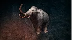 Far Cry Primal Apex Edition XBOX ONE/Xbox Series X|S - irongamers.ru