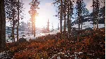 RUST + STEAM KEY RANDOM (Region Free) (РАСТ) - irongamers.ru