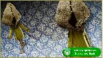Little Nightmares Complete Edition XBOX ONE/Series