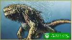 Monster Hunter World: Iceborne Master Edition XBOX ONE