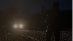 ✅ DayZ ⭐Steam\РФ+Весь Мир\Key⭐ + Бонус
