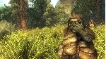 Risen 1 + 900 ИГР STEAM АККАУНТ - irongamers.ru