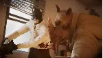 Blacksad: Under the Skin XBOX / WINDOWS [ Ключ 🔑 Код ]