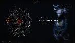 Mortal Shell Xbox one