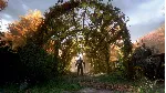 A Plague Tale: Innocence XBOX [ Игровой Ключ 🔑 Код ]