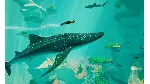 ABZU XBOX ONE / XBOX SERIES X|S [ Игровой Ключ 🔑 Код ]