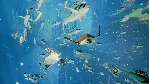 ABZU XBOX ONE / XBOX SERIES X|S [ Игровой Ключ 🔑 Код ]