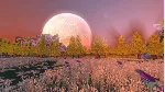 Boundless - STEAM Key - Region Free / ROW / GLOBAL - irongamers.ru