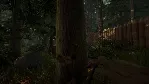 The Forest 1 | АВТОДОСТАВКА | Steam gift Россия - irongamers.ru